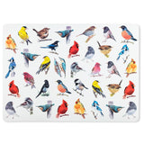 North American Birds Placemats (set of 4)