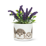 Small Hedgehog Family Planter